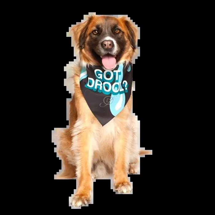 “Got Drool?” Dog Bandana by Dog Fashion Living