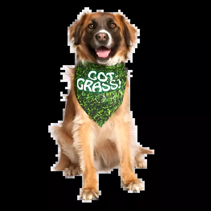 “Got Grass?” Dog Bandana by Dog Fashion Living